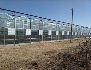 玻璃溫室和塑料大棚哪個保溫好？