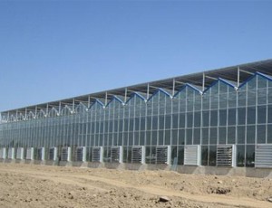 不懂這幾點，不要盲目投資玻璃溫室生態餐廳！