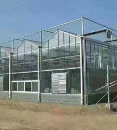 玻璃溫室大棚建設需要考慮天氣因素么