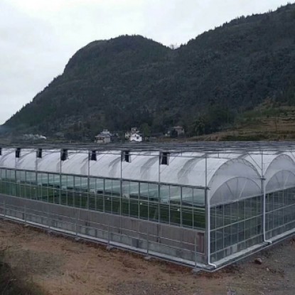 連棟薄膜溫室